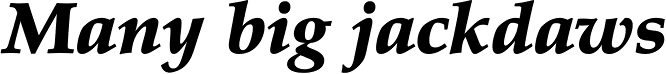 Palatino Black Italic