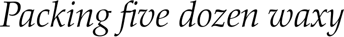 Palatino Light Italic