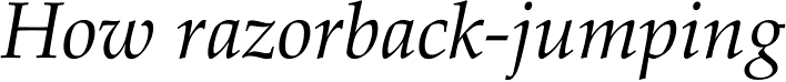 Palatino Linotype Italic