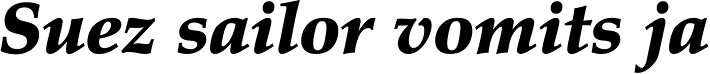 Palatino Pro Black Italic