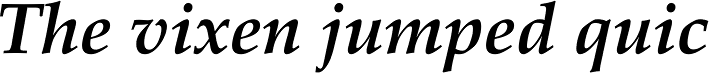 Palatino Pro Bold Italic