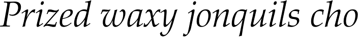 Palatino Pro Light Italic