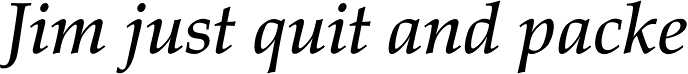Palatino Pro Medium Italic