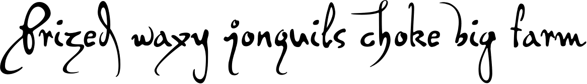 PF DaVinci Script Pro