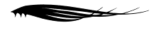 Plumes