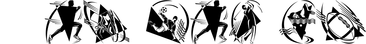 Polytype Sports V