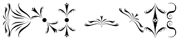 PR Foxtail 01