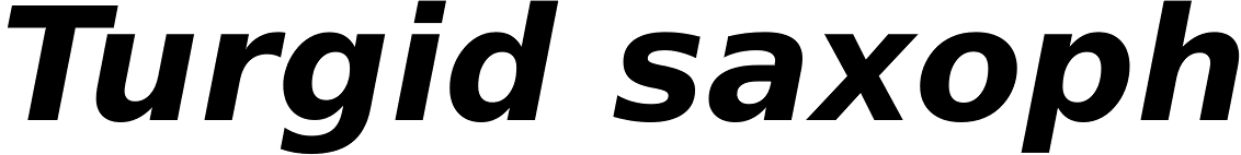 Prima Sans Bold Oblique