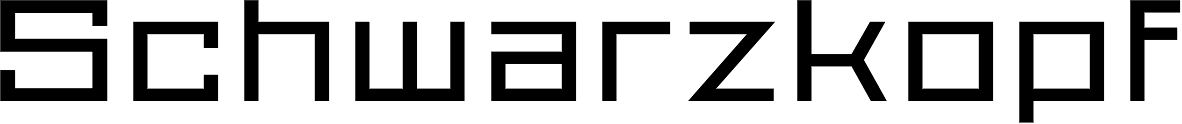 Proto Sans 16