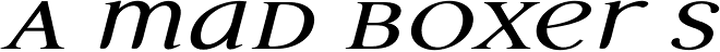 Questal Bold Italic