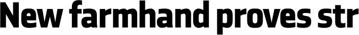 Ranelte Condensed Extra Bold