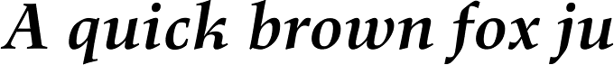 Richler Cyrillic Bold Italic