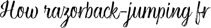 Rockeby Brush