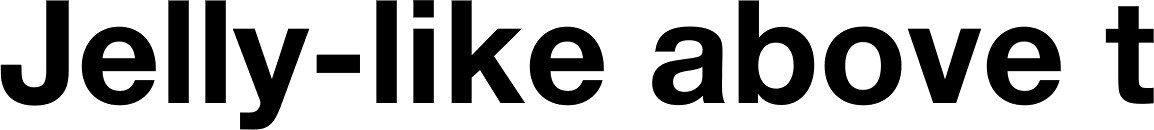 Saral Devanagari Std Bold
