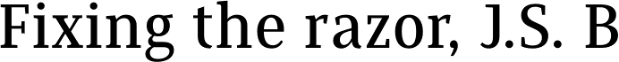 Saya Serif FY Medium Regular