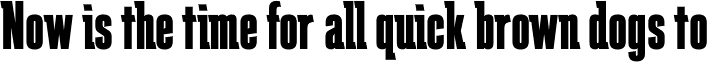 Schindler RR ExtraBold