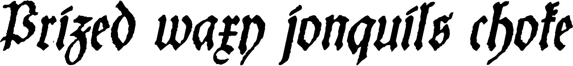 Schneider Buch Deutsch Italic