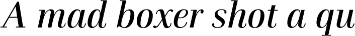 Schneider Libretto BQ Italic