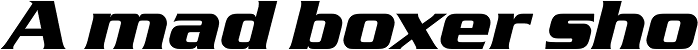 Serpentine D Bold Italic