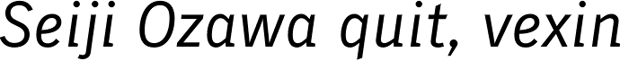 Skopex Gothic Italic