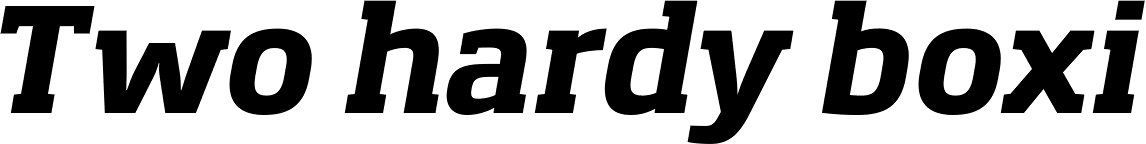 soho std bold font free download