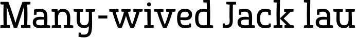 Springsteel Serif Medium