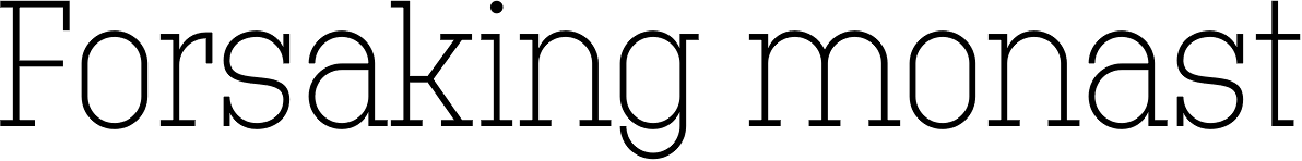 Technik Serif 100