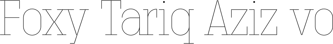 Technik Serif 25