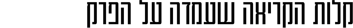 Tel Vardi Condensed MF Medium