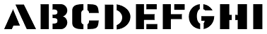 Term Paper JNL