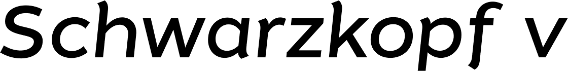 Tide Sans 400 Lil Dude Italic
