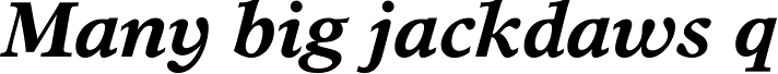 Times Europa Bold Italic