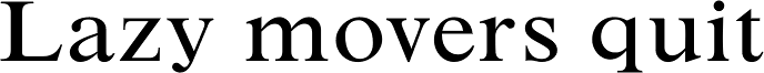 Times New Roman Small Text