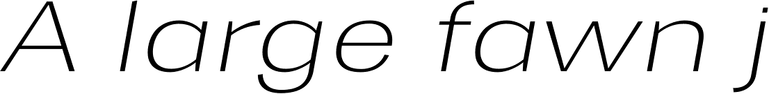 Trivia Gothic E1 SemiExpanded Thin Italic