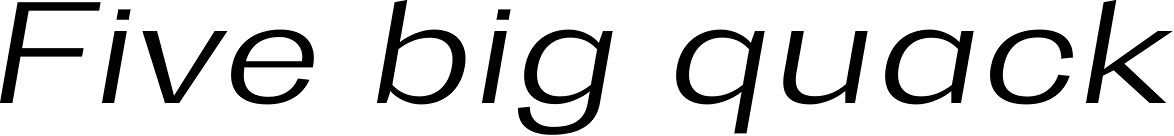 Trivia Gothic E2 SemiExpanded Light Italic