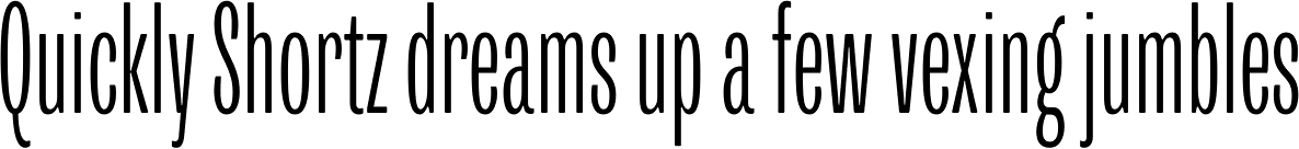 Trivia Grotesk C1