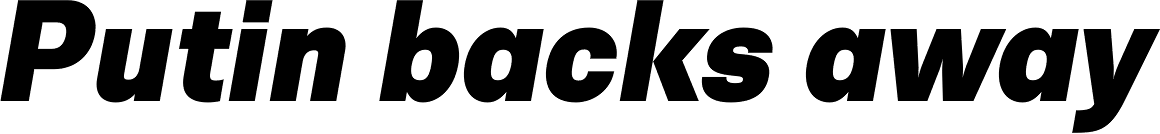 Trivia Sans Black Italic