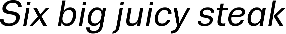 Trivia Sans Italic