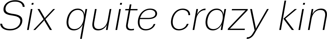 Trivia Sans Light Italic