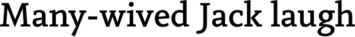 Vekta Serif Medium