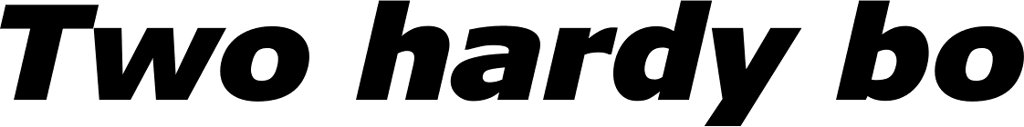 Verdana Pro Black Italic