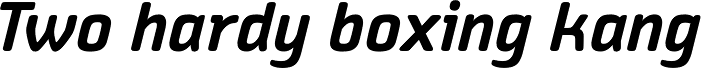 Vivala Sans Round SemiBold Italic