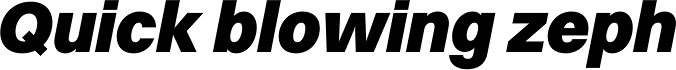 Volkart Black Italic