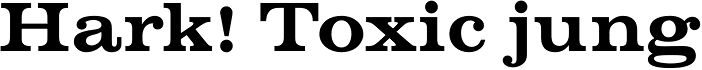 Volta Medium