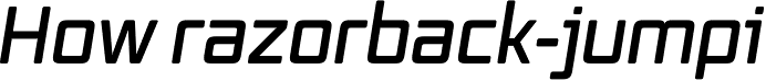 Vox Round SemiBold Italic