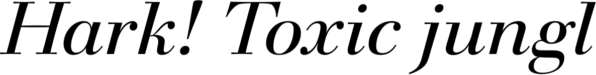 Walbaum 120 Medium Pro Italic