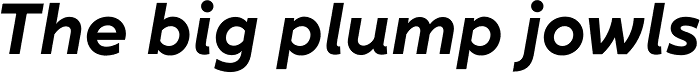 XXII Geom Bold Italic